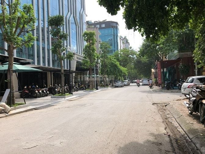 Chính chủ bán đất đấu giá tại Trần Thái Tông, Cầu Giấy