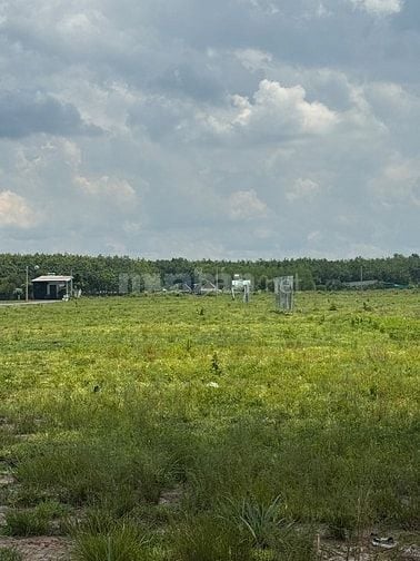 🌿SIÊU PHẨM ĐẤT VÀNG CHƠN THÀNH. DT 150-200m2, SỔ SẴN. ĐẦU TƯ LÀ LỜI🌿