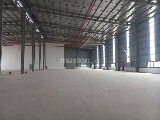 Cho thuê kho xưởng mới xây KCN Đức Hòa,Long An,KV: 5.000m2,XD: 3.750m2