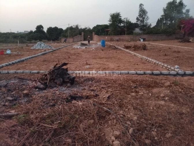 Đất vàng Chũ Bắc Giang - 220M2 giá 580 triệu, vị trí đắc địa.