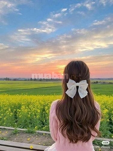 TUYỂN Gấp Nhân Viên Văn Phòng