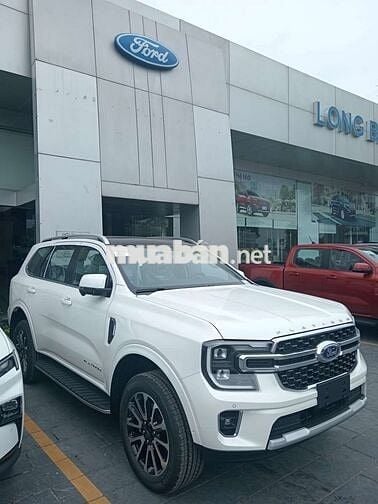 2025 Platinum 2.0L 4x4 AT
