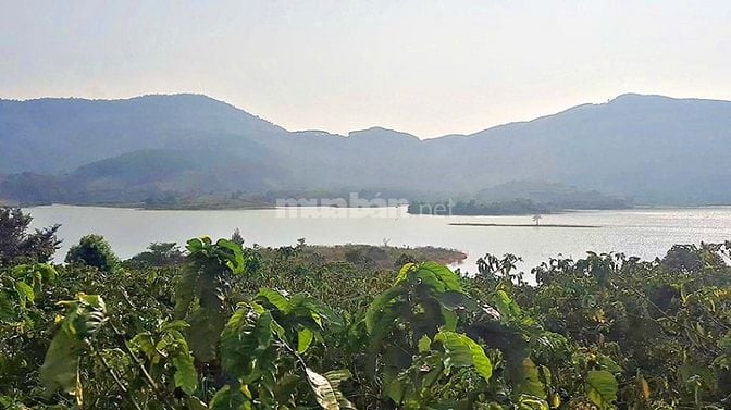 Đất hồ Kala Di Linh, lô đất đẹp, view tuyệt đỉnh, giá đầu tư, 5200mv