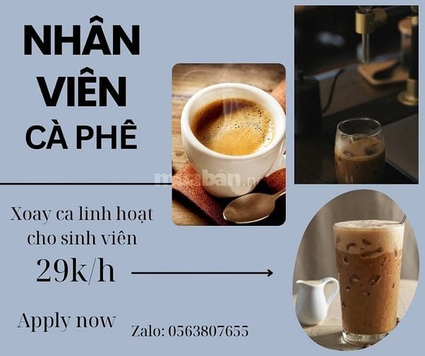  Việc Làm Xoay Ca Cho Sinh Viên Quận Tân Phú - Bình Tân