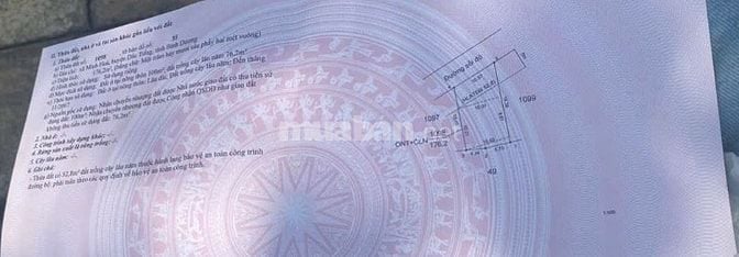 - Bán gấp lô đất tại xã Minh Hoà, Dầu Tiếng, Bình Dương - 330 triệu