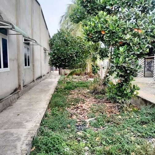 178m2 có 100m2 thổ cư. Đất 2 mặt tiền. Gần KCN. 500tr
