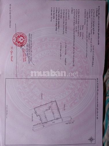 Bán gấp nhà hẻm Trần Phú Đà Lạt 151m2
