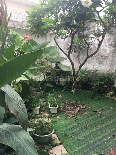 BIỆT THỰ - 203M  - ĐƯỜNG 7M - NGUYỄN DUY TRINH - BÌNH TRƯNG TÂY 