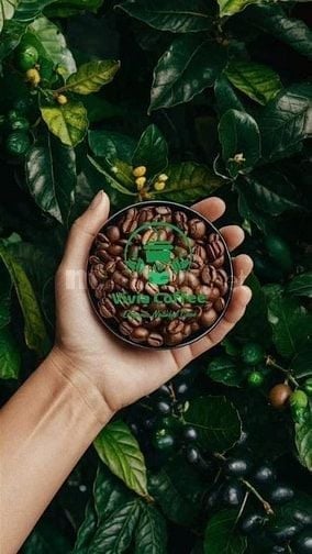Bán cafe nước giải khát mang đi theo yêu cầu