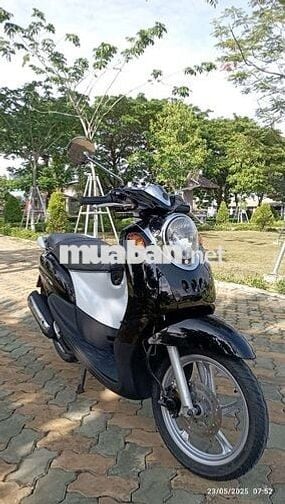 Classico biển 70 Máy thái