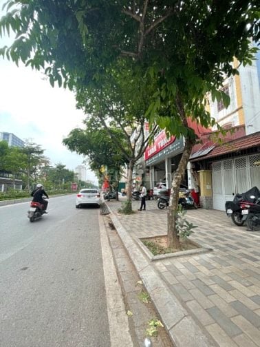Bán nhà 6T thang máy mặt phố q Cầu Giấy , đang cho thuê KD sầm uất