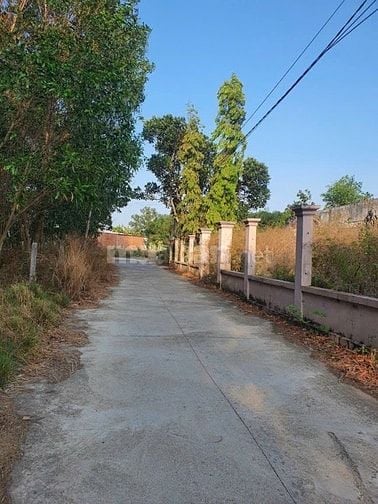 Đất 4538m2 lô 3 MT hẻm 7m, Phường Hắc Dịch, Thị Xã Phú Mỹ, Tp.Bà Rịa