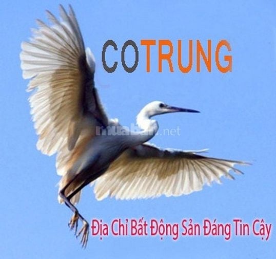 Bán toà nhà 102 Nguyễn Văn Đậu. P7. Bình Thạnh