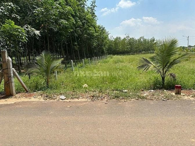đất nền tân định bến cát bình dương chỉ 390tr 