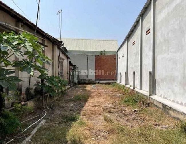 CHỦ NGỘP BÁN LÔ ĐẤT GIÁ RẺ Ở PHƯỚC HIỆP CỦ CHI 99M2 GIÁ 470 TRIỆU