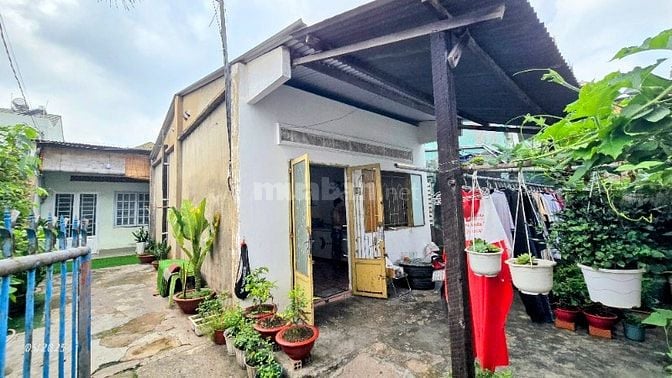 BÁN GẤP 2 CĂN NHÀ CẤP 4 RỘNG 230m² Tại Trung Tâm Của Phường Hố Nai, BH