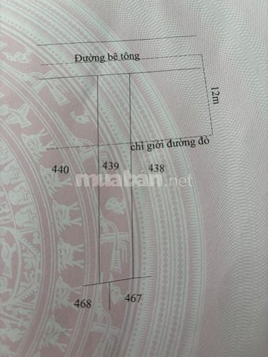 Bán đất thổ cư ngay thị trấn Đức Hòa, Long An, 125,8m2