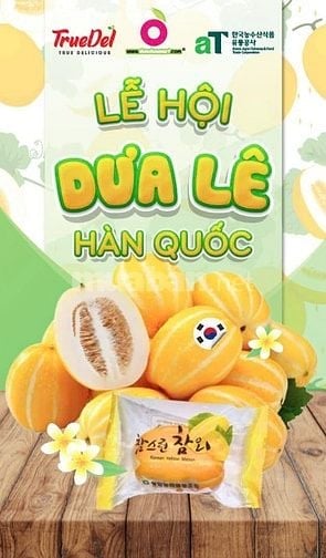 NGÀY HỘI DƯA LÊ HÀN QUỐC TRỞ LẠI – LÂU RỒI MỚI GẶP LẠI VỊ NGỌT NÀY!