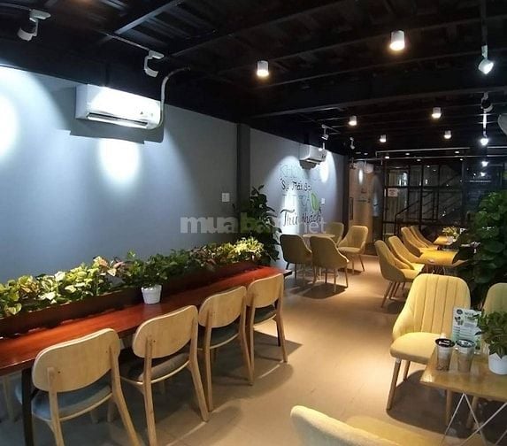 Tuyển nhân viên tư vấn và giới thiệu. 