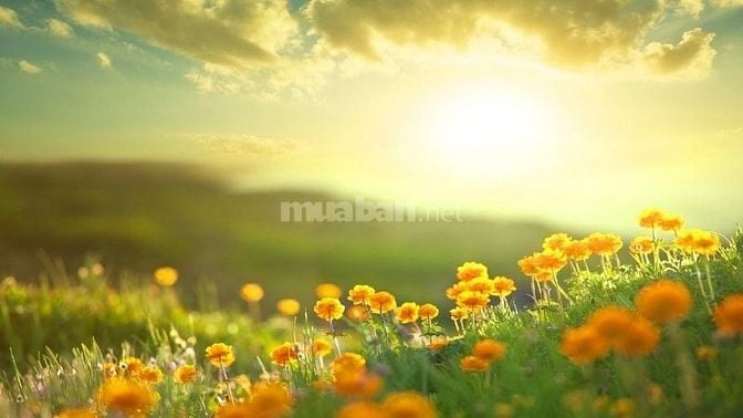 Cần 02 bạn phụ bán hàng thực phẩm đồ uống sạch 