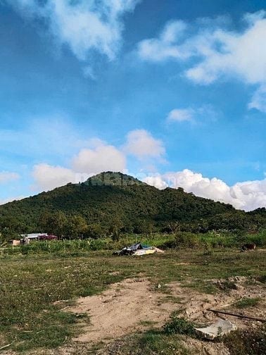 Cần bán gấp mảnh đất đường tránh tx an khê giá rẽ 