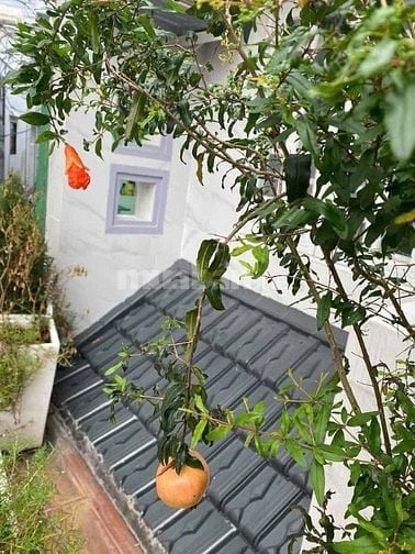 Nhà 5 tầng - hẻm gần đường D5 - Xô Viết Nghệ Tĩnh - P 25 - Bình Thạnh