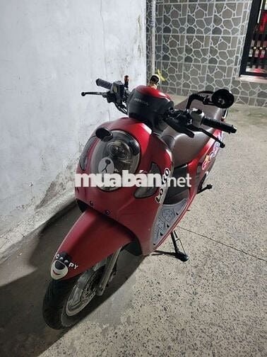 Bán xe Sccopy indo