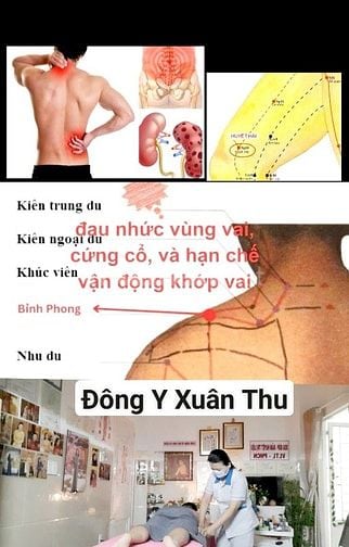 Dưỡng sinh Thận - Tâm an Thận khoẻ - Điều hoà kinh mạch toàn bộ cơ thể
