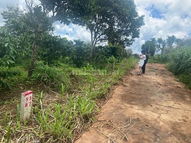 Cần bán lô đất đẹp tại Cư Pơng , Krong Buk, Đắk Lắk.