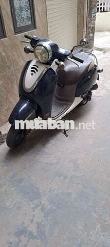 Bán xe ga 50cc