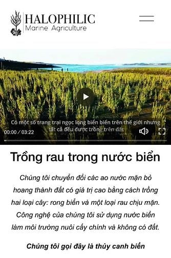 HALOPHILIC Cần Tuyển Quản Lý Kinh Doanh tiếng Anh giao tiếp 