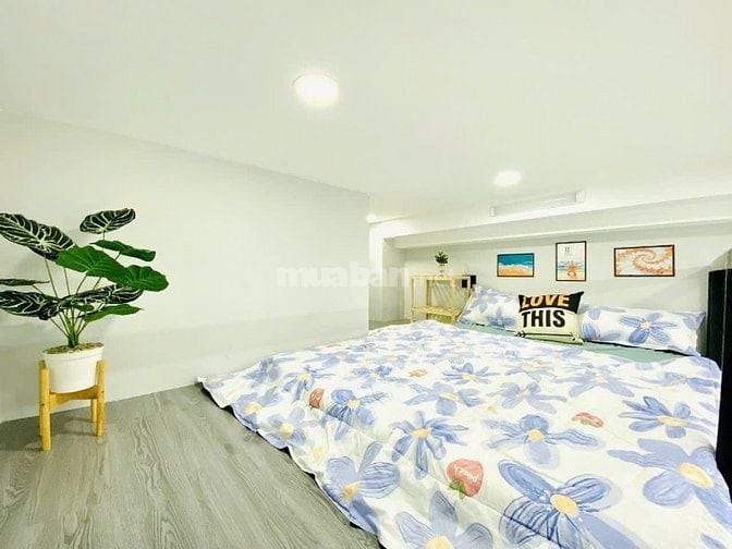  Căn Hộ Dịch Vụ 13 Phòng – Có Thang Máy – Full Nội Thất – Bình Thạnh