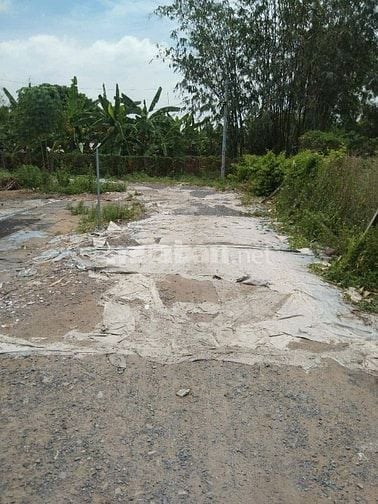 CHÚ CHỊU LỖ BÁN GẤP LÔ ĐẤT XÃ TÂN THÔNG HỘI CỦ CHI TIỆN ÍCH XUNG QUANH