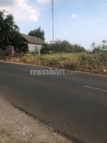Cần bán lô đất lớn thôn 11, xã Nhân Cơ, huyện Đắk R'Lấp, tỉnh ĐắkNông