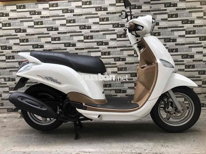 Nozza Fi biển Tphcm O 9 chủ