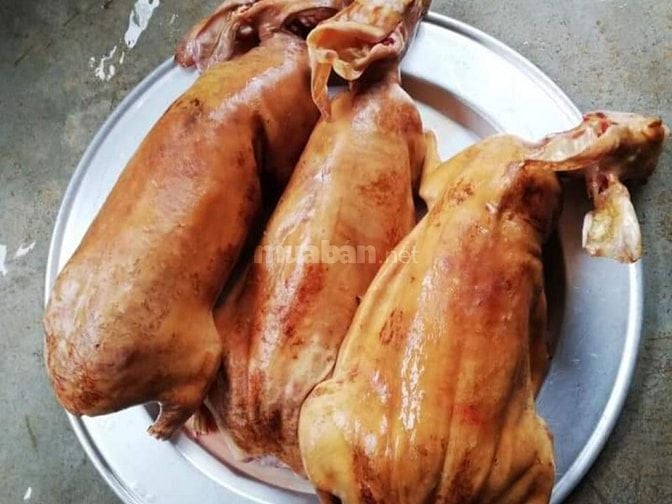 Bán thịt thỏ tươi sạch, thỏ nướng, quận 8 thành phố Hồ Chí Minh