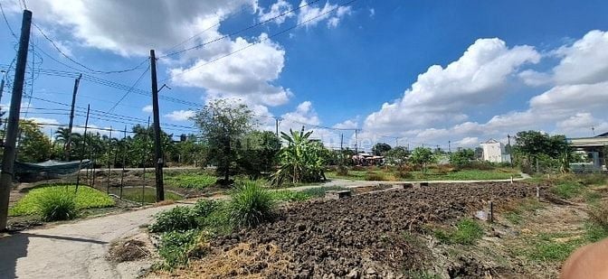 Bán đất thổ vườn đường Tân Liễu, X.Hưng Long, Bình Chánh