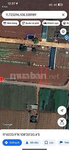 Bán đất tổ 34 Thị Trấn Liên Nghĩa