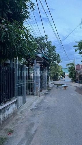 cần bán căn nhà 125m2 ở chợ Việt Kiều - Củ Chi giá 710 triệu.