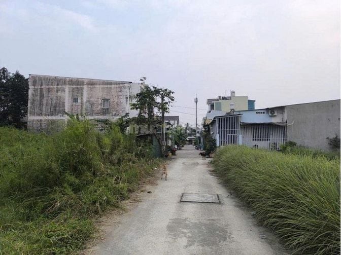 CHO THUÊ ĐẤT TẠI NHƠN TRẠCH ĐỒNG NAI