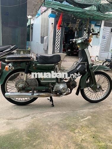 cub 81 đời đầu zin
