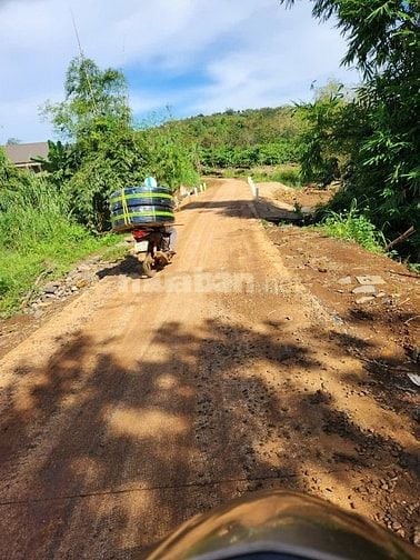 Gấp: bán rẻ đất vườn Tuy Đức xe hơi vô tới đất