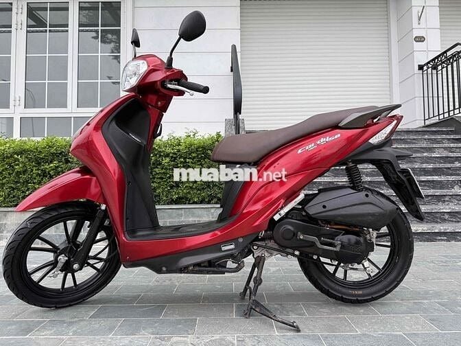 Bán kimcoCandy hermosa 50cc hoc sinh chính hãng