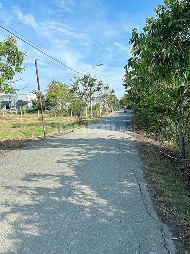 BÁN 17 NỀN ĐẤT THỔ CƯ – MẶT TIỀN NGUYỄN MINH HOÀNG, XÃ THUẬN THÀNH