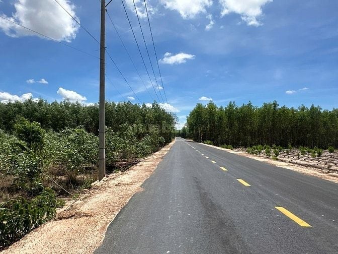 1000m2 Mặt Tiền Đường Nhựa Sát Trung Tâm Giá Chỉ 1,3 Tỷ