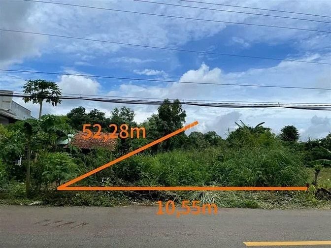 Công ty Đấu giá hợp danh Lam Sơn Sài Gòn THÔNG BÁO ĐẤU GIÁ TÀI SẢN
