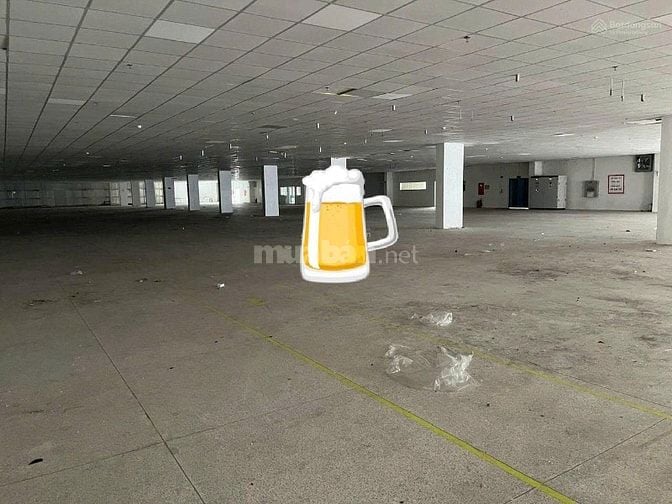 Cho thuê 2 kho xưởng tại quận 9, vị trí đắc địa,diện tích lớn, giá tốt