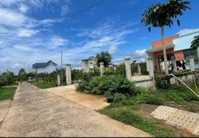 Chú Ba Cần Tiền Trả Nợ Bán Đất Giáp KCN Dầu Giây. Giá Chỉ 500Tr.TC SHR