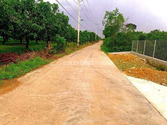 Đất view sông Tân phú  đồng nai 3336m2 giá 2ty200 triệu