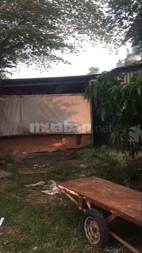 Cần bán miếng đất rộng 2.837 m2 Hóc Môn , đã xây tường 3 m 